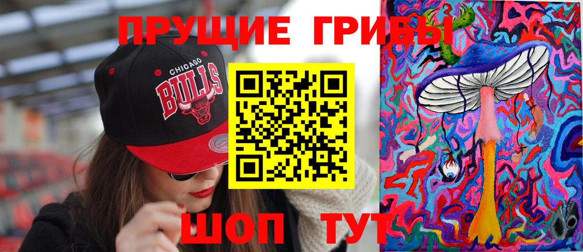 Псилоцибиновые грибы Psilocybe Тулун