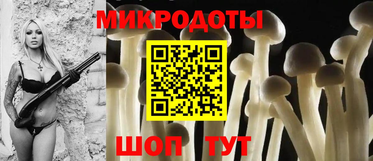 закладки  Галлюциногенные грибы мицелий  Вход с VPN  Тулун 